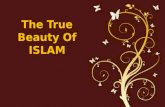 The true beauty of islam