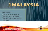 Dinamika 1 malaysia