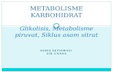 Metabolisme karbohidrat i