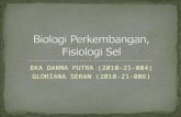 Biomedik biologi perkembangan dan fisiologi sel