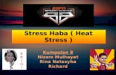 Heat stress ( Stres Haba )