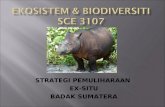 Pemuliharaan ex situ badak sumbu sumatera