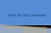 type of pollination AND GERMINATION