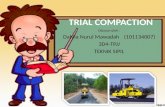 Trial compaction (dahlia)