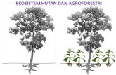 Agroekosistem 3