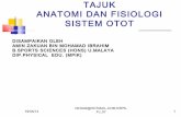 Sistem otot (Anatomi & Fisiologi) STPM Penggal 2