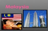 Malaysia  (asian cuisine)