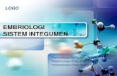 Embriologi sistem integumen