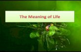 The meaning-of-life