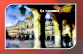 Salamanca 2015  Amarú