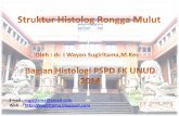 Struktur Histologi Rongga Mulut Oleh dr. I Wayan Sugiritama, M.Kes