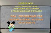 programme for international student assessment