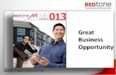 Redtone Mobile 013 (RTD) Business Opportunity