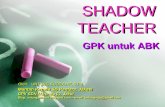 Shadow Teacher