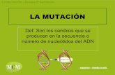 Las mutaciones mcm