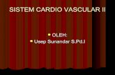 Sistem cardiovascular ii 2