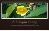 A simpur story