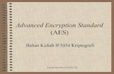 19.advanced encryption standard (aes)