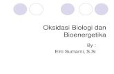 04 oksidasi biologi dan bioenergetika