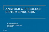 Anatomi & fisiologi endokrin 2014