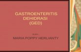 Gastroenteritis   Udenews