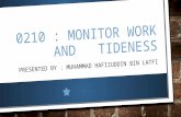 0210   monitor work and tideness