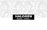 Halogen - KIMIA kelas XII