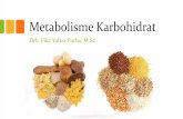Metabolisme karbohidrat (1)