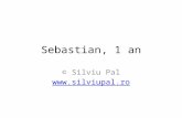 Sedinta foto - Sebastian, 1 an