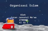 Organisasi islam