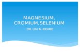 5 magnesium,  cromium, selenium dr lin&romie
