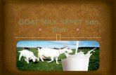 Goat Milk Sepet Sdn. Bhd.