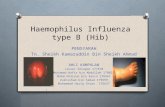 Haemophilus Influenza type B (Hib)