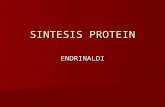 Sintesis%20 protein
