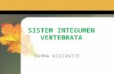Sistem Integumen (Universitas Kuningan)