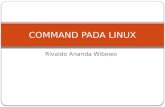 Command linux