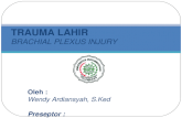 Referat Brachial Plexus Injury (PP)