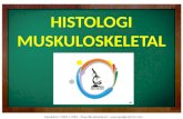 MUSKULOSKELETAL Histologi