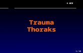 13 EMS - Trauma Thoraks