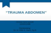 trauma abdomen