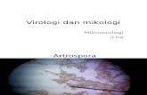 Virologi dan mikologi.ppt
