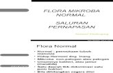 Flora Mikroba Normal