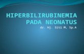 Neonatal Hiperbilirubinemia