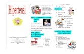 leaflet Hipertensi.docx