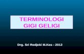 Terminologi Gigi Geligi 2012