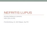 Nefritis Lupus