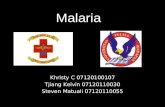 Malaria IPD 1