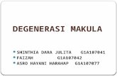 Degenerasi Makula ( PP )