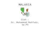 Malaria- Dr. Mahfudz