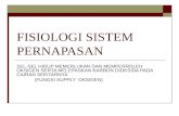 Fisiologi Sistem Pernapasan-dr.nirwana